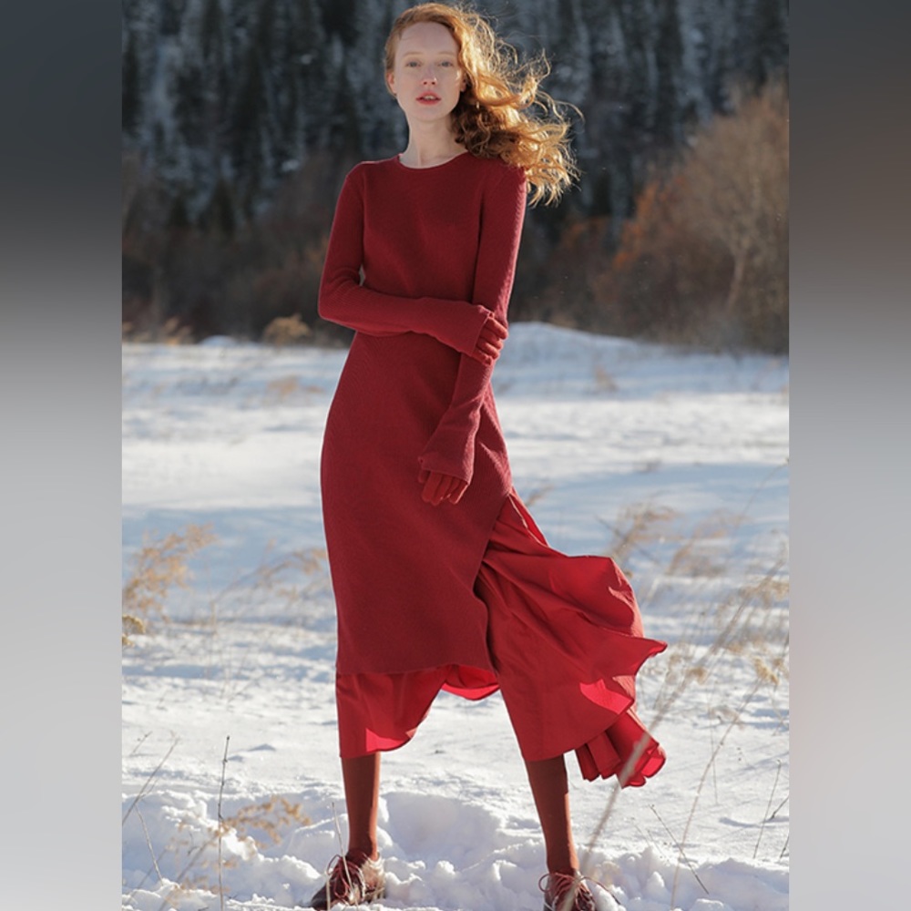 NWOT | Long-sleeve Sweater Dress | Bias-cut Godet Skirt | XS